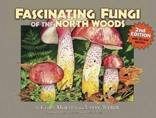 Fascinating Fungi of the North Woods, 2nd Edition - Paperback - GOOD picture