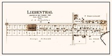 1901 Town Map of Lienenthal Rush County Kansas picture