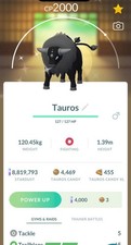 Pokemon✨Shiny Paldean Combat Tauros✨TRA-DE✨Go Fest Denmark 2026✨ picture