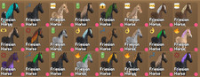 Wild Horse Islands IUH Friesian – Choose Your Horse – Select 1 From 20 picture
