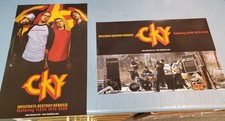 CKY 2002 2 sided I-D-R promotional poster Flawless New Old Stock Bam Margera picture