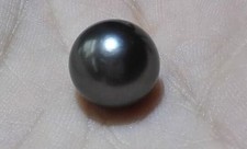 HUGE 13MM NATURAL TAHITIAN GENUINE ROUND BLACK LOOSE PEARL UNDRILLED picture