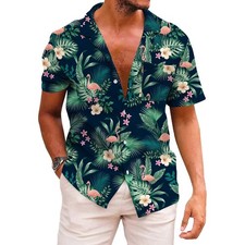 Mens Hawaiian Shirt Short Sleeve Button Down Funky Tropical Beach Vacation Tops picture