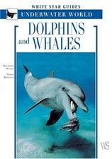 Dolphins And Whales (White Star Guides) picture
