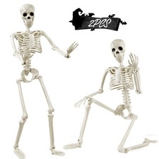 2 Pack 36'' Halloween Skeleton Decorations, 3ft Full Body Posable Skeleton Re... picture