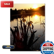 Trademark Fine Art Reflective Strength by Monica Fleet, 18 x 24 picture