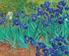 1889 Irises by Vincent Van Gogh VINTAGE art print picture