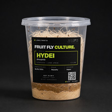 D. Hydei Flightless Fruit Fly Culture Drosophila 32oz Live Feeder Flies Reptile picture