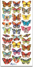 Violette Stickers Tropical Butterfly Stickers  Scrapbook Craft Planner Supply picture