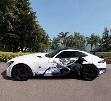 Skeleton Car Decal; Skull Car Decal; Cool Car Decals Both Sides; Car Livery picture