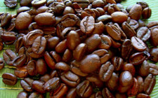 ORGANIC Bali Blue Moon Pure Mountain Grown Coffee Medium Roast 10 Lbs picture