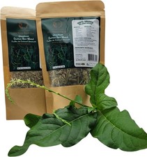 Jamaican Guinea Hen Weed Tea 2 Pack Anamu Leaves Handpicked Available in US & CA picture