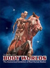 Body Worlds The Original Exhibition of Real Human Bodies - Catalog - VERY GOOD picture