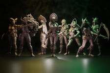 Coven of The Black woods Warband Heretic picture