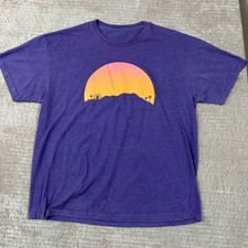 Coachella 2013 Music Festival Lineup T-Shirt XL Purple Heather Graphic Tee picture