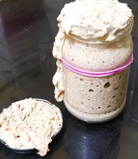OUR FAVORITE SOURDOUGH STARTER YEAST JASPER picture