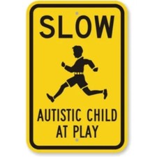 Slow Autistic Child Playing Aluminum Weatherproof Sign c01827 picture