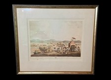 1805 Edward Orme Driving Elephants Into a Keddah Hand-Colored Aquatint Framed picture