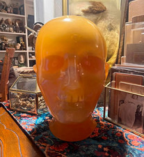 VTG Xray Phantom Human Skull osteology oddities medical antique  picture