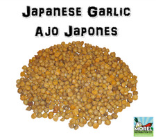 AJO JAPONES (JAPANESE GARLIC) // WEIGHTS: 1 LB,2 LBS, 5 LBS 10 LBS, & 20 LBS  picture