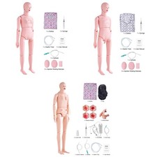 Uimoso Male/Female Manikin Model Anatomical Nursing Training Patient Care Teach picture