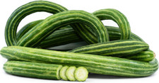 25 ARMENIAN YARD LONG CUCUMBER SEEDS ~ heirloomseedguy ~ NON-GMO ~ 2027 picture