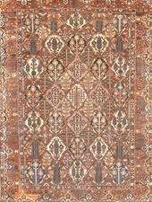 Antique Per Bakhtiari Hand-Knotted Area Rug - 9'2