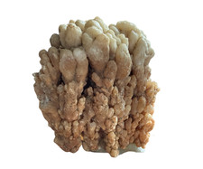 Complete Calcite Cluster Mineral Formation Collector Stone picture
