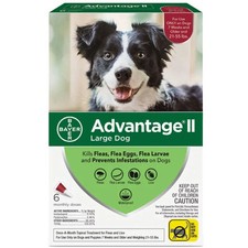 Advantage II for Dogs 21–55 lbs 6 Pack | Monthly Flea Treatment for Medium Dogs picture