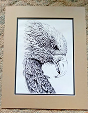 Eagle Eye picture