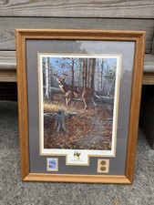 FRAMED HARRY ANTIS WOODLAND PRINCE Print With STAMP & COINS 1993 picture