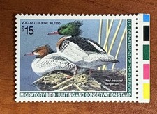 US Stamp, Duck, Scott #RW61, Mint Never Hinged picture