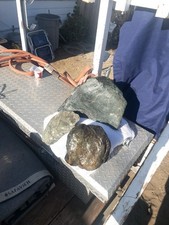 MASSIVE OCEAN POLISHED RARE BIG SUR NEPHRITE SILVER/BLUE-GREEN SPECIMEN. picture