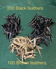 Lot 300 pcs Archery Arrow Feathers Fletching 5” picture