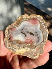 Baker Ranch Thunderegg Agate Half Nodule - Polished - New Mexico picture