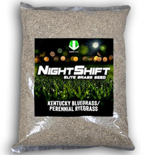 Nightshift (Formerly Blackout) Kentucky Bluegrass & Perennial Ryegrass Grass See picture