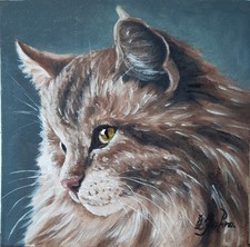 Maine Coon Cat Original Oil Painting Pet Art 8 x 8 Cat Green Eyes Fine Art picture