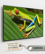 Convert Your TV into a Photo Gallery | Dream Nature TV Screensaver Art Display picture