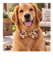 dog bow ties perfect for fall picture