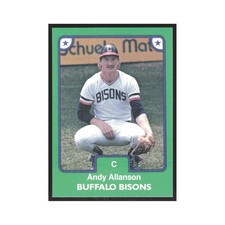 1984 TCMA Minor League Andy Allanson Buffalo Bisons #7.0 picture