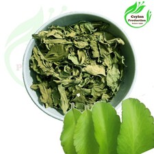 Kalanchoe pinnata whole Leaves  Dried Organic Miracle Leaf Air Plant picture