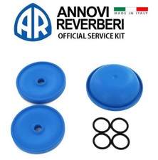 Hypro D30 Diaphragm Pump Repair Kit Fits 9910-KIT1724 9910KIT1724 picture