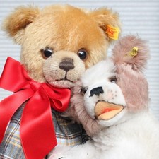 Adorable Steiff Teddy Bear Mohair Fur unplayed w voice Button $ Steiff Dog picture