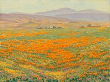 California Wildflowers Original Landscape Oil Plein Air Painting 12x16 picture