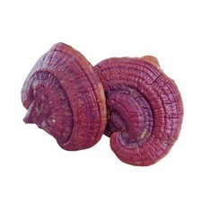 Red Reishi WHOLE Mushroom Organic (Ganoderma Lucidum) Ling Zhi  + USA picture