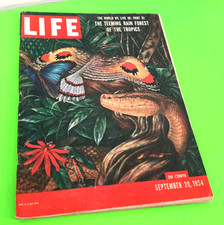 VTG Life  September 20 1954 picture