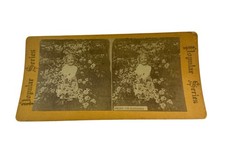 Antique Popular Series Stereoview Among the Blossoms Child Flowers Photo Card picture