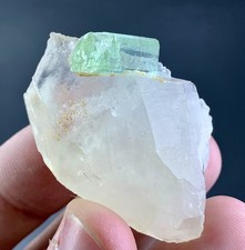 110 Carat Tourmaline Crystal On Quartz Specimen From Afghanistan picture