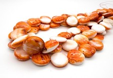 Natural Orange White Spiny Oyster Shell Flat Round Coin Gemstone Beads SO1 picture