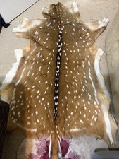Full grown Axis deer Pelt, Perfectly Tanned picture